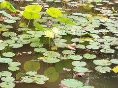 -三圣花乡旅游区