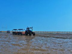 -刘家湾赶海园