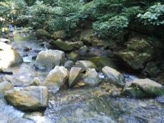 android_upload_pic-鼎湖山风景区