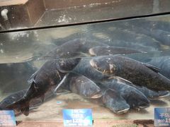 -上名堂·鱼头好吃(体育场路店)