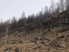 -阿尔山市大兴安岭奥伦布坎景区