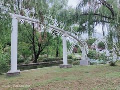 -上海共青森林公园