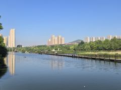 -前关湿地公园