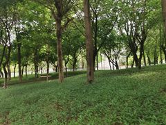 -长洲岛