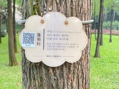 -晓港公园