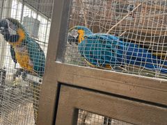 -南宫五洲植物乐园