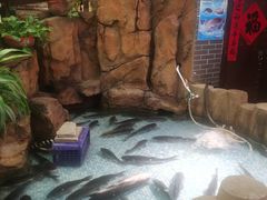 -东北大院·东北菜(三台子店)