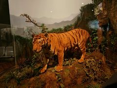 -陕西自然博物馆