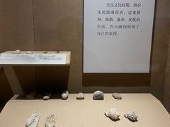 -烟台市博物馆