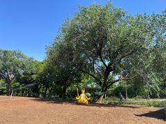 -北京西山国家森林公园