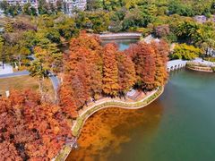 -四海公园(南山区)