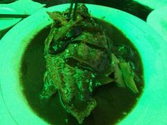 -小王府(什刹海店)