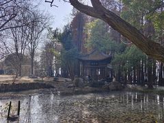 -东湖落雁景区