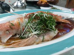 清蒸红鲷-绿雅居原生态农庄(小涌店)