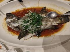 -大东海海鲜酒楼(渔人码头总店)