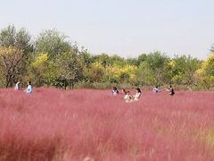 -东郊湿地公园