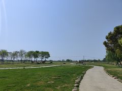 -合肥滨湖国家森林公园