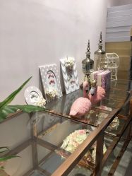 -MIDA蜜哒•科技逆龄美肤连锁