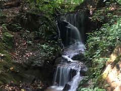 -莫里热带雨林景区