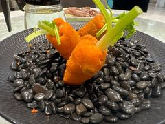 -丁老爷子苏香圆