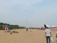 -碧海金沙