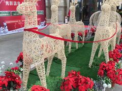 -郑州银基黄帝宫御温泉