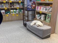 -四月宠物医院·猫专科·心脏专科·内科(转塘店)