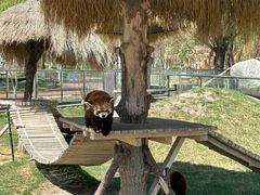 -水上乐园·欢乐世界