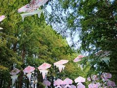 -日照海滨国家森林公园