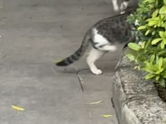 -晓港公园