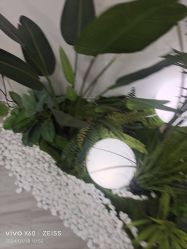-HEYAN荷妍专业脱毛连锁机构