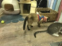 -小时光咖啡馆(开森度假森林店)