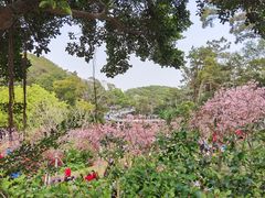 -狐尾山公园