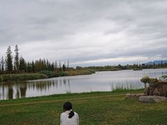 -呈贡滇池生态湿地公园