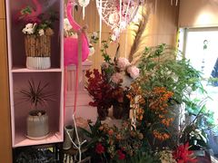 -蝶舍·MAISON PAPILLON