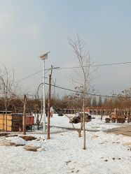 -优沃得自然教育农场·冰雪乐园·生日会·研学