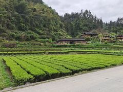 -咸丰县唐崖河景区