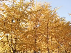 -辽宁大学(崇山校区)