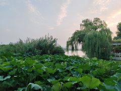 -济南大明湖景区
