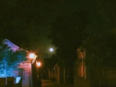 -爆肚冯(廊房二条店)