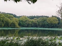 -朝阳公园