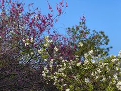 -天台山赤城山景区