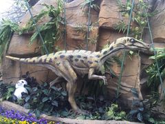 -西安秦岭野生动物园