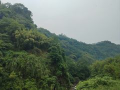 -峨眉山风景名胜区
