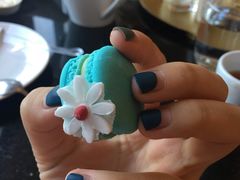 -The Lounge大堂酒廊·咖啡·沙拉·下午茶(金茂深圳JW万豪酒店)