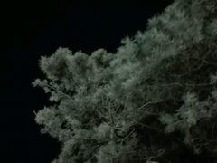 -棋盘山冰雪大世界
