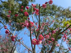 -桂林公园(地铁站)