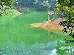 -广州市流溪河国家森林公园