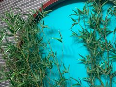 -伽利略剧本探案馆(国贸店)