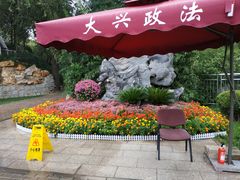 -黄村公园